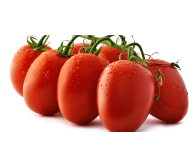 Piccadilly Rucisicilian tomato 500 gr