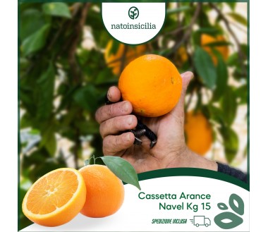 Sicilian Navel Oranges box 15 kg
