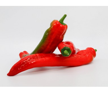 Highly digestible Rucisiciliano pepper per kg
