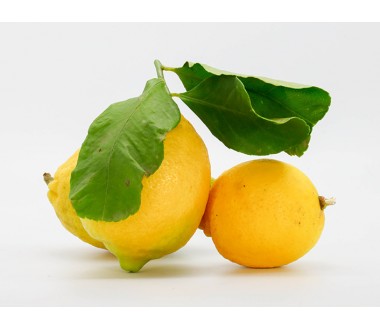 Limoni Primofiore Siciliani