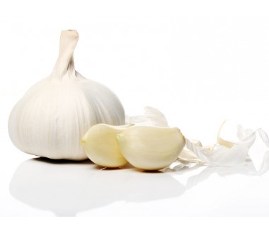 sicilian garlic