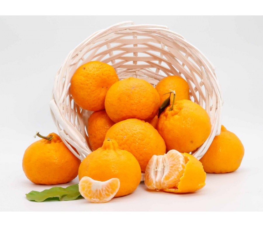 Mandarini Siciliani